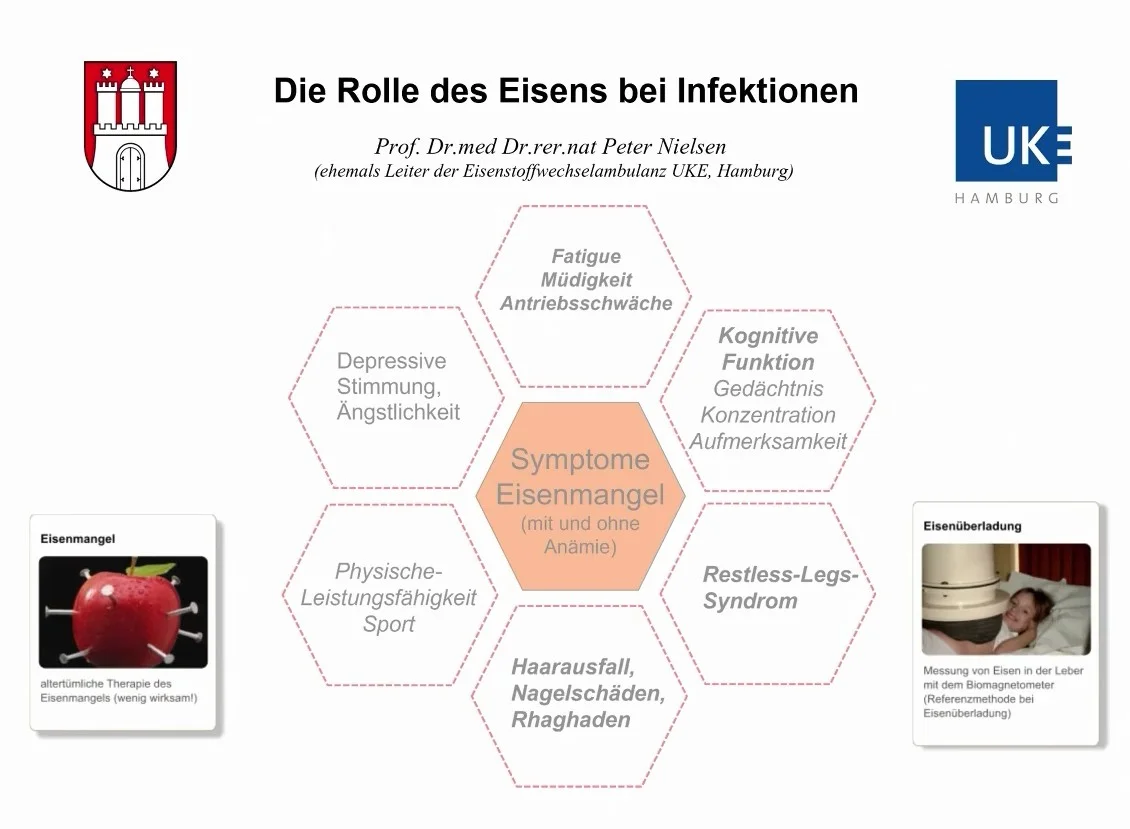 Webinar Die Rolle des Eisens bei Infektionen Screenshot